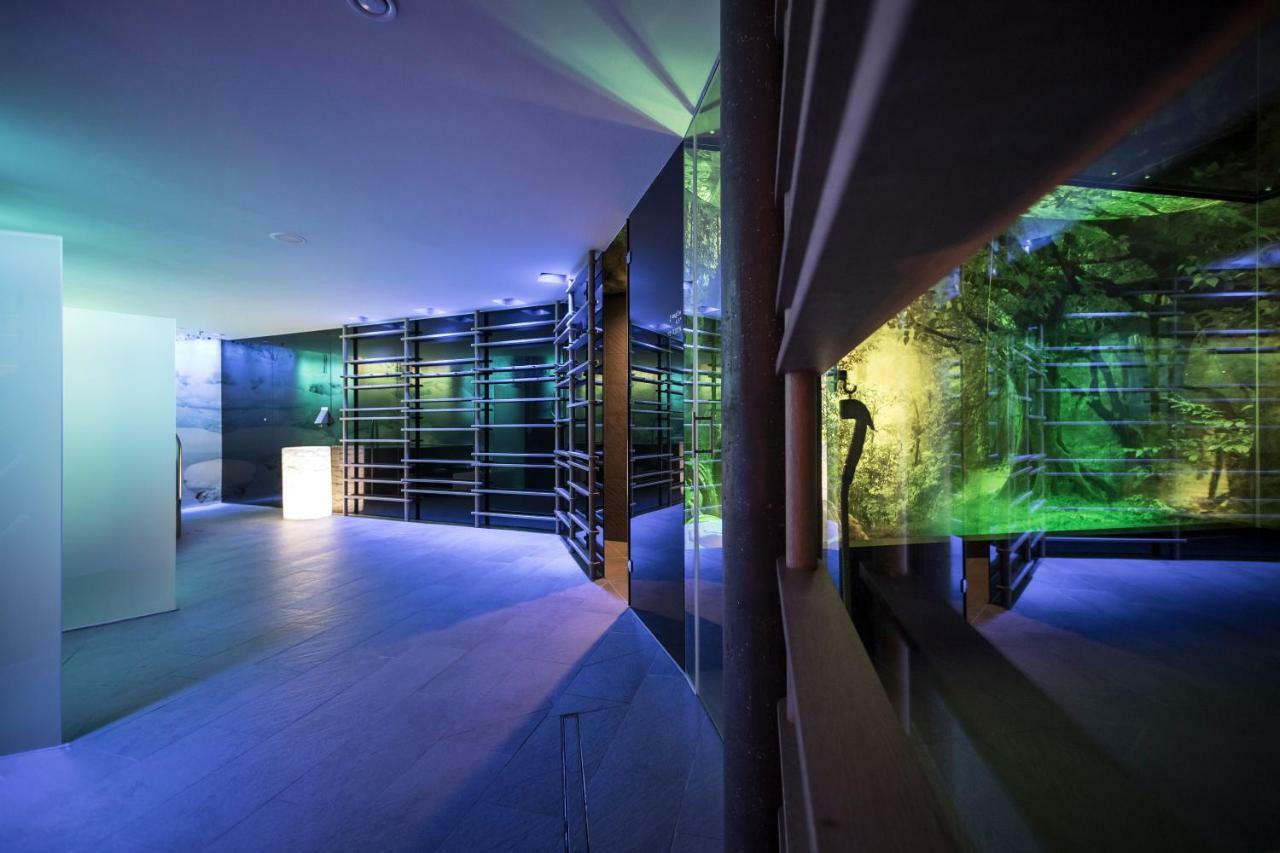 Spa & Relax Hotel Erika Tirolo Dış mekan fotoğraf